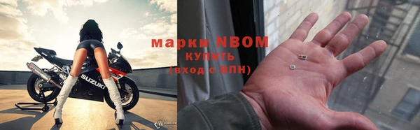 ПСИЛОЦИБИНОВЫЕ ГРИБЫ Гусиноозёрск