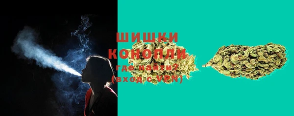 ПСИЛОЦИБИНОВЫЕ ГРИБЫ Гусиноозёрск