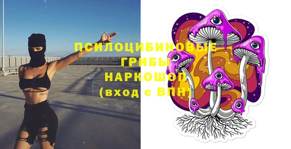 дмт Дмитров